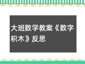 大班數學教案《數字積木》反思
