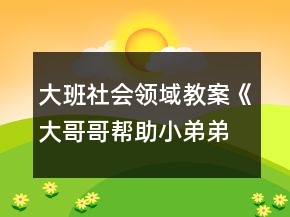 大班社會(huì)領(lǐng)域教案《大哥哥幫助小弟弟》反思
