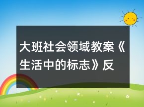 大班社會領(lǐng)域教案《生活中的標志》反思