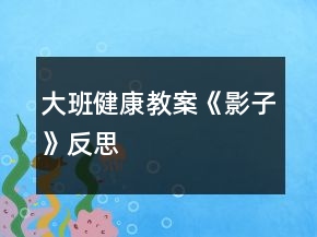 大班健康教案《影子》反思