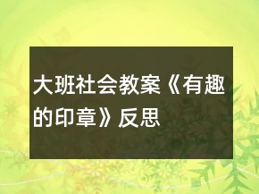 大班社會教案《有趣的印章》反思