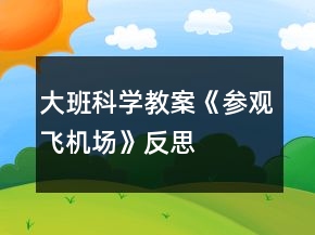 大班科學(xué)教案《參觀飛機場》反思