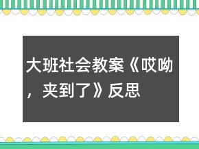大班社會(huì)教案《哎呦，夾到了》反思