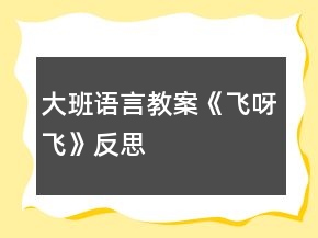 大班語(yǔ)言教案《飛呀飛》反思
