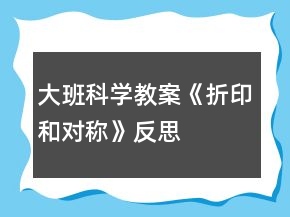 大班科學(xué)教案《折印和對(duì)稱(chēng)》反思