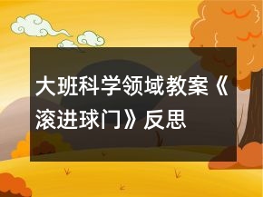 大班科學(xué)領(lǐng)域教案《滾進(jìn)球門(mén)》反思