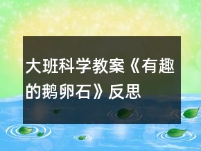 大班科學(xué)教案《有趣的鵝卵石》反思