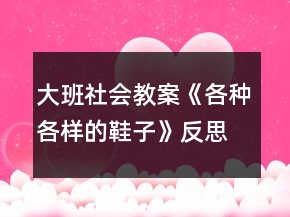 大班社會教案《各種各樣的鞋子》反思