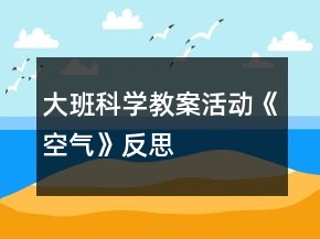 大班科學(xué)教案活動《空氣》反思