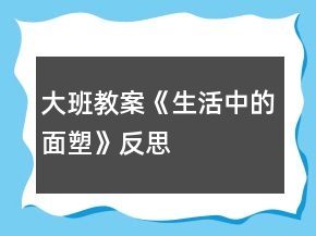 大班教案《生活中的面塑》反思