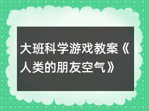 大班科學游戲教案《人類的朋友（空氣）》反思