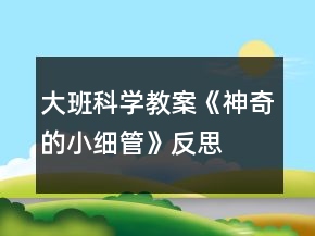 大班科學(xué)教案《神奇的小細管》反思