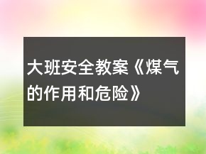 大班安全教案《煤氣的作用和危險(xiǎn)》