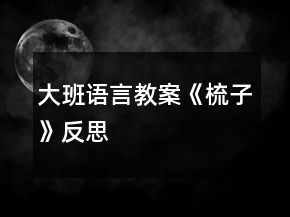 大班語言教案《梳子》反思