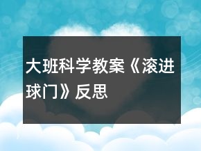 大班科學教案《滾進球門》反思