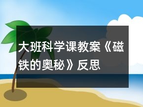 大班科學(xué)課教案《磁鐵的奧秘》反思
