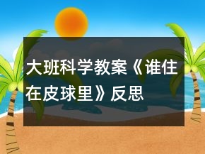 大班科學(xué)教案《誰住在皮球里》反思