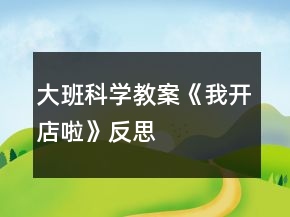 大班科學教案《我開店啦》反思