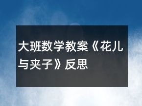 大班數(shù)學(xué)教案《花兒與夾子》反思