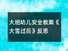 大班幼兒安全教案《大雪過(guò)后》反思