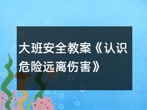 大班安全教案《認(rèn)識危險(xiǎn)、遠(yuǎn)離傷害》反思
