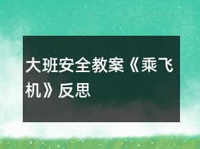 大班安全教案《乘飛機》反思
