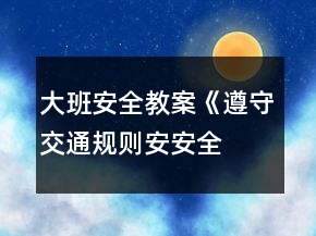 大班安全教案《遵守交通規(guī)則、安安全全上學(xué)》反思