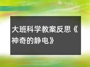 大班科學(xué)教案反思《神奇的靜電》