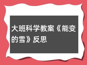 大班科學教案《能變的雪》反思