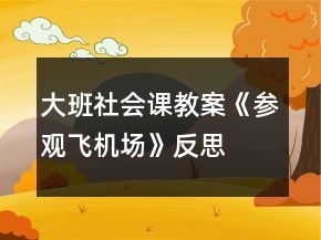 大班社會課教案《參觀飛機場》反思