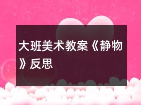 大班美術教案《靜物》反思