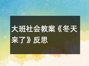 大班社會教案《冬天來了》反思