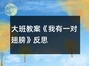 大班教案《我有一對(duì)翅膀》反思