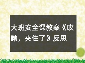 大班安全課教案《哎呦，夾住了》反思
