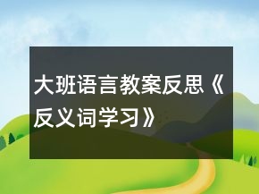 大班語言教案反思《反義詞學(xué)習(xí)》