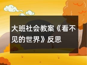 大班社會(huì)教案《看不見的世界》反思