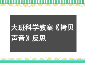大班科學教案《拷貝聲音》反思