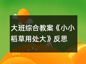 大班綜合教案《小小稻草用處大》反思