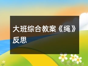 大班綜合教案《繩》反思