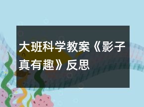 大班科學(xué)教案《影子真有趣》反思