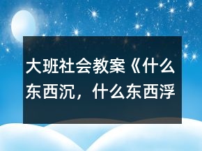 大班社會教案《什么東西沉，什么東西浮》反思