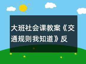 大班社會課教案《交通規(guī)則我知道》反思