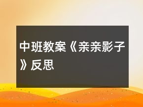 中班教案《親親影子》反思