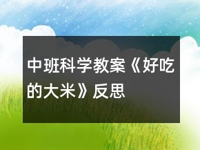 中班科學教案《好吃的大米》反思