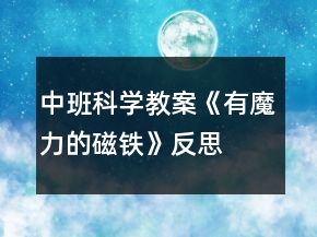 中班科學(xué)教案《有魔力的磁鐵》反思