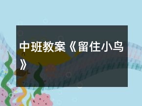 中班教案《留住小鳥》
