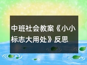 中班社會(huì)教案《小小標(biāo)志大用處》反思