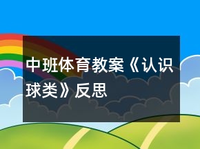 中班體育教案《認(rèn)識球類》反思