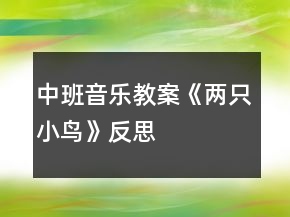 中班音樂(lè)教案《兩只小鳥(niǎo)》反思