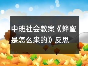 中班社會教案《蜂蜜是怎么來的》反思